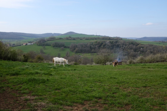 Rencontre