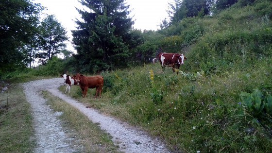 Rencontre