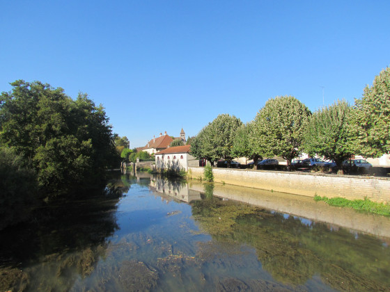 Renève