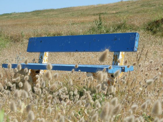 Repos du randonneur