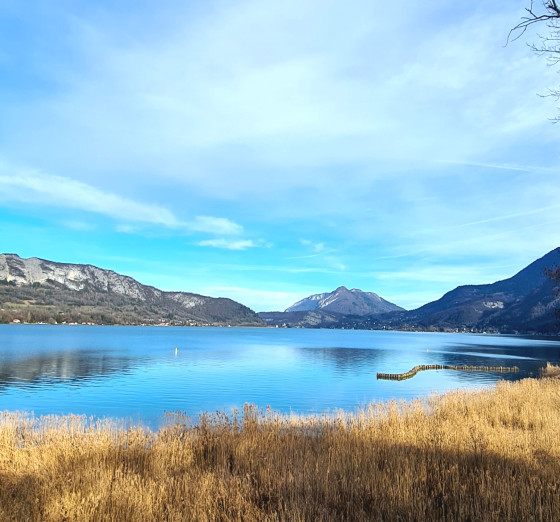Réserve du bout du lac d'Annecy depuis le Camping Idéal