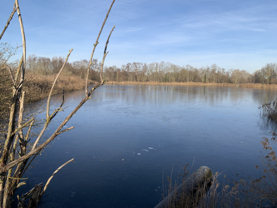 Reserve du Haut Geer