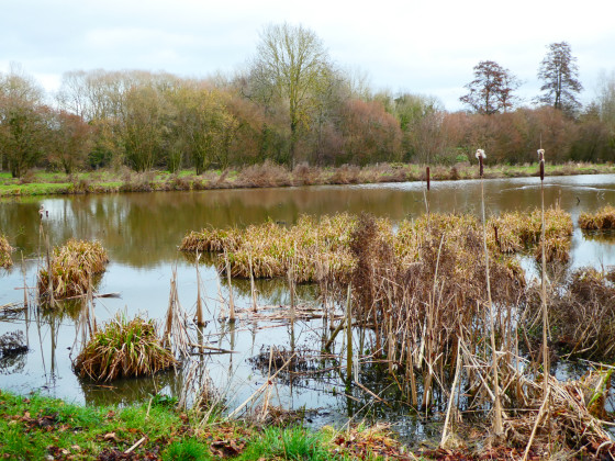 Réserve naturelle de Wasseiges