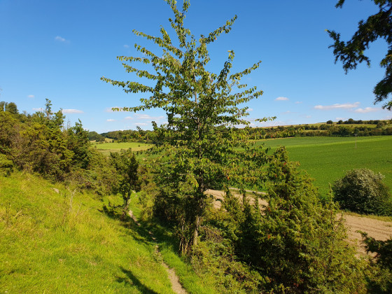 Réserve Naturelle des Riez de Nœux-lès-Auxi