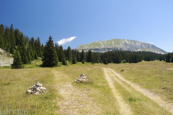 Réserve naturelle = peu de balisage