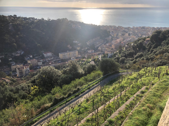 Restanque et vue sur Menton