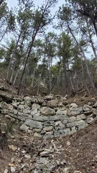 restauration des terrains en montagne - petit barrage anti &eacute;rosion