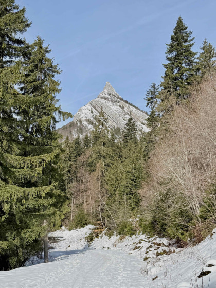 Retour au Petit Reposoir