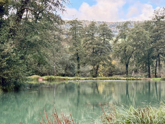 Retour au plan d’eau