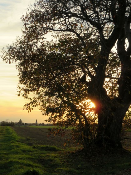 Retour au soleil couchant vers Saint-Lactencin