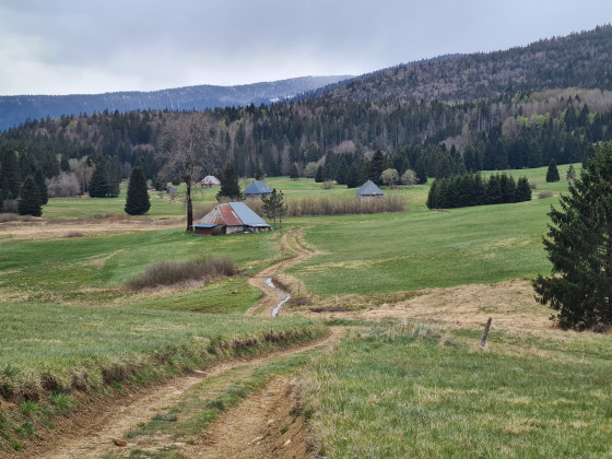 Retour dans l'alpage