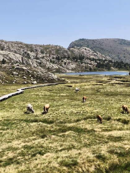 Retour du refuge