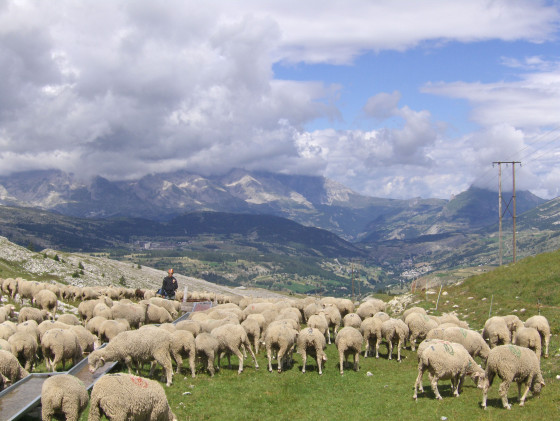Retour en pays habité...