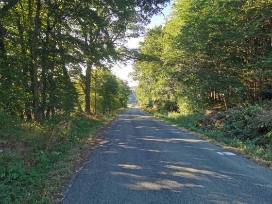 Retour par la route