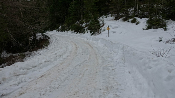 Retour par une piste déneigée