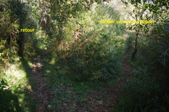 Retour possible