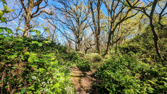 Retour près des carrières