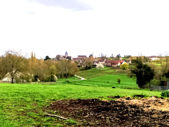Retour sur Ch&eacute;rence