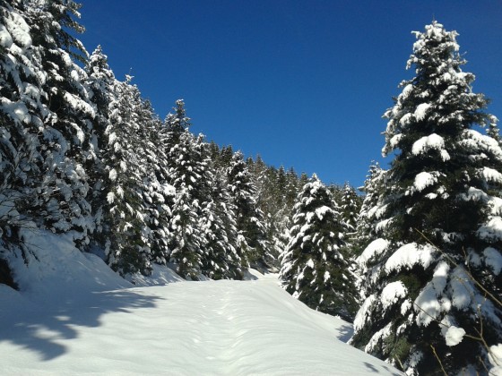 Retour sur la piste principale
