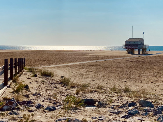 Retour sur la plage des chalets