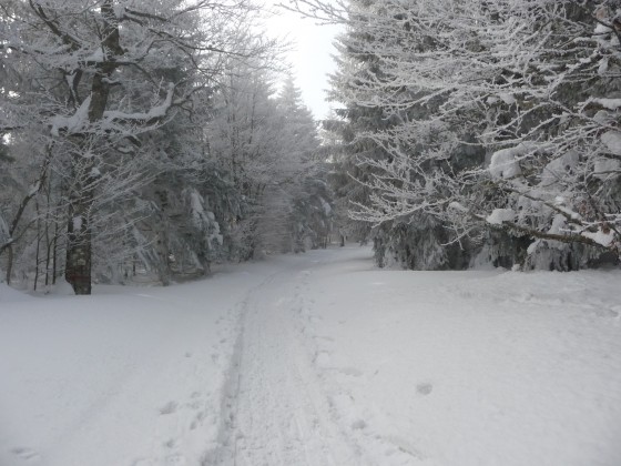 Retour sur le chemin du Tubanet