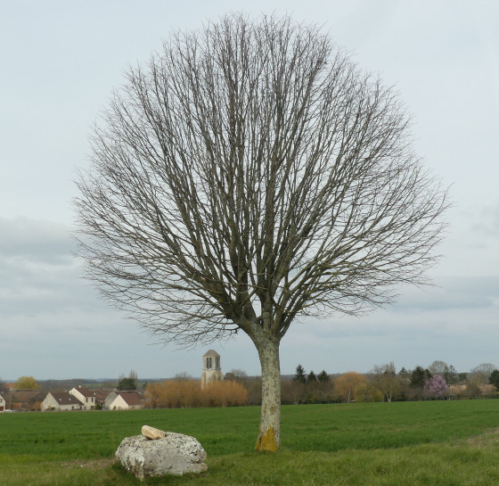 Retour vers Lizines