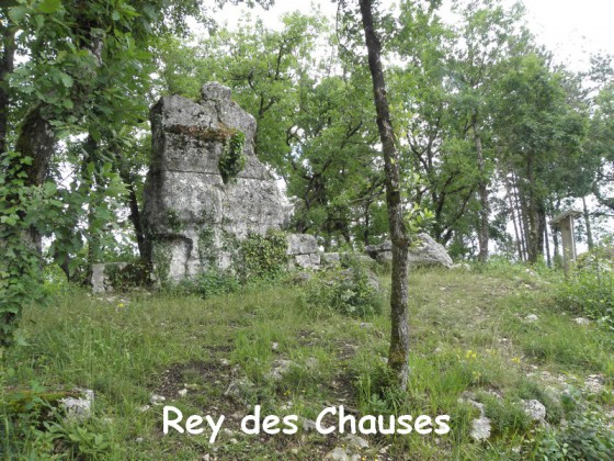 Rey des CHOZES