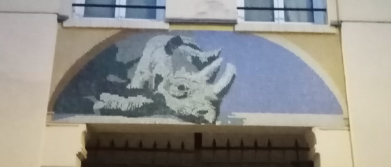 Rhinocéros