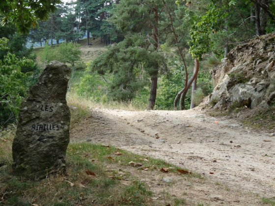 Rialle