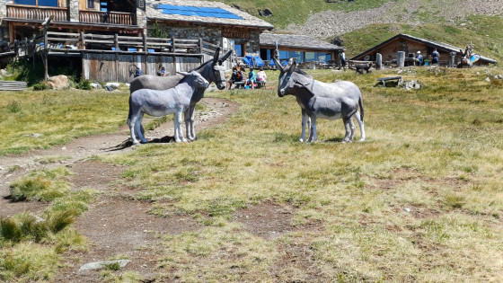 Rifugio Fallère