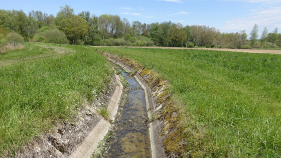 Rigole alimentant le canal