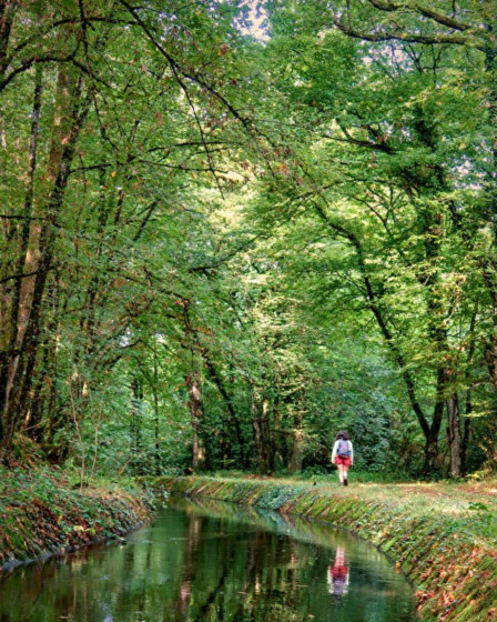 Rigole d'Yonne à Sardy-lès-Epiry