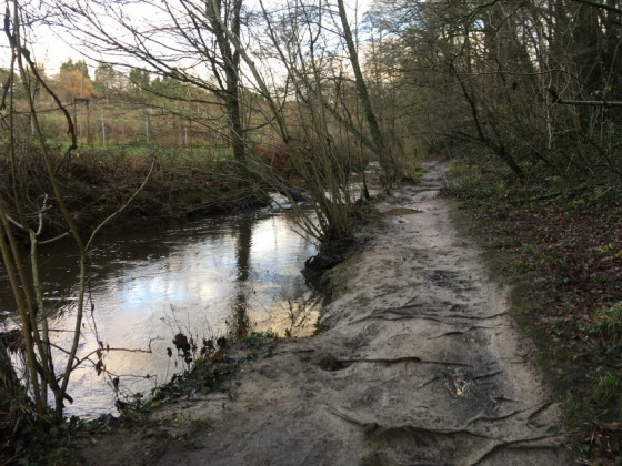 Rive droite du Cens apr&egrave;s le passage sous l'autoroute