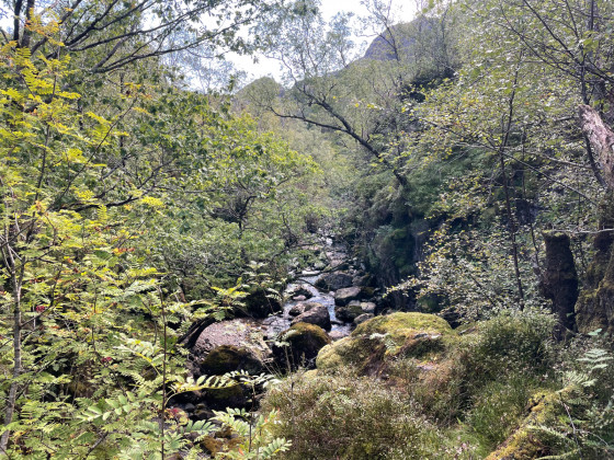 Rivière Coe