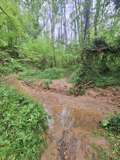 Travers&eacute;e de la rivi&egrave;re