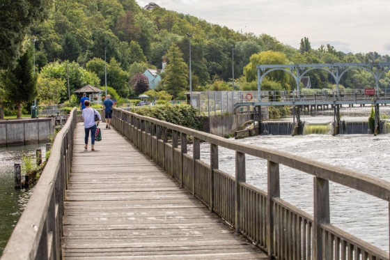 River Thames near Henley
