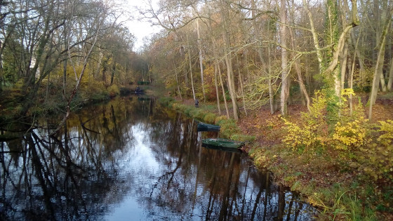 Rivière alimentant l\'étang Rivière alimentant l\'étang