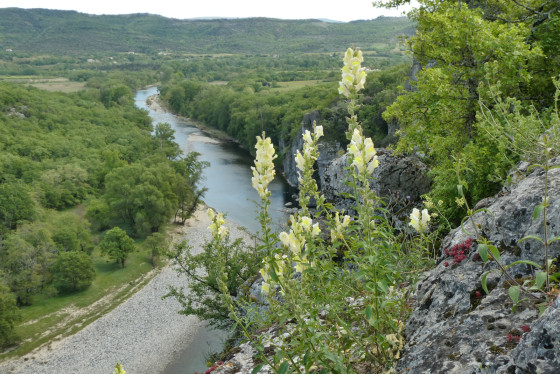 Rivière Ardèche, aval