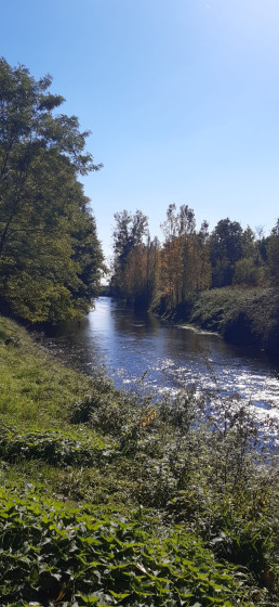 riviere aux calmes eaux claires
