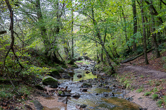 Rivière de l'Yzeron