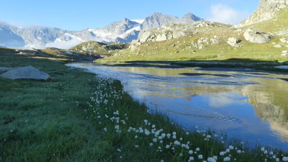Riviere sur le plateau
