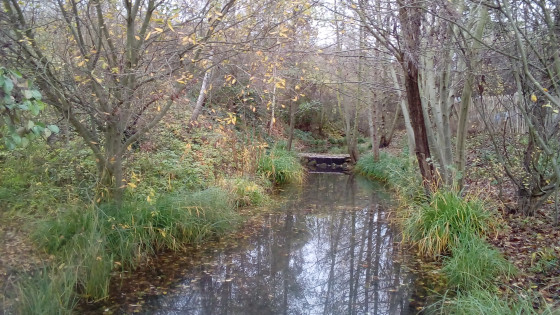 Rivière