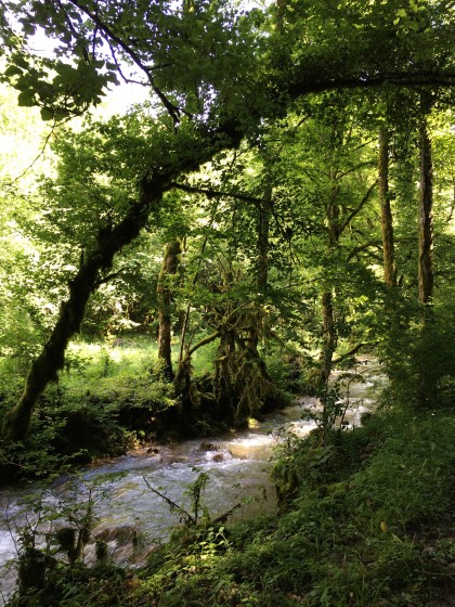 Rivière