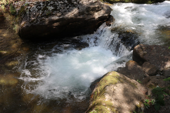 Rivi&egrave;re