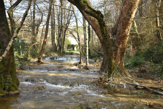 La Riviere la Vence
