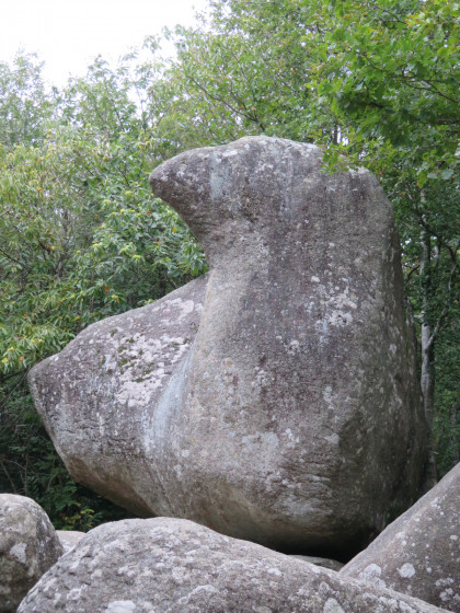 Roc de l'Oie