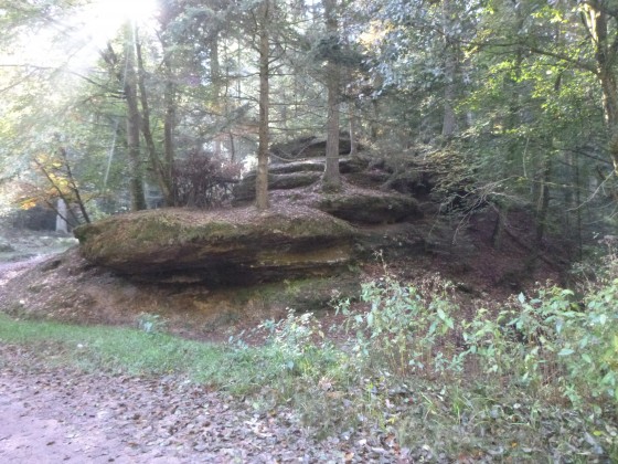 Roche (Abri)