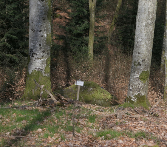 Roche aux pétroglyphes