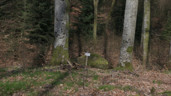 Roche aux traces petroglyphes