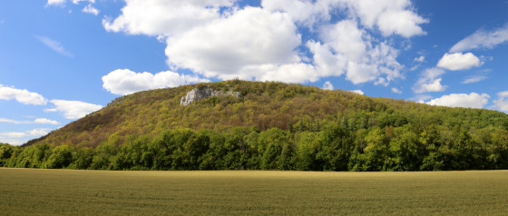Roche Château